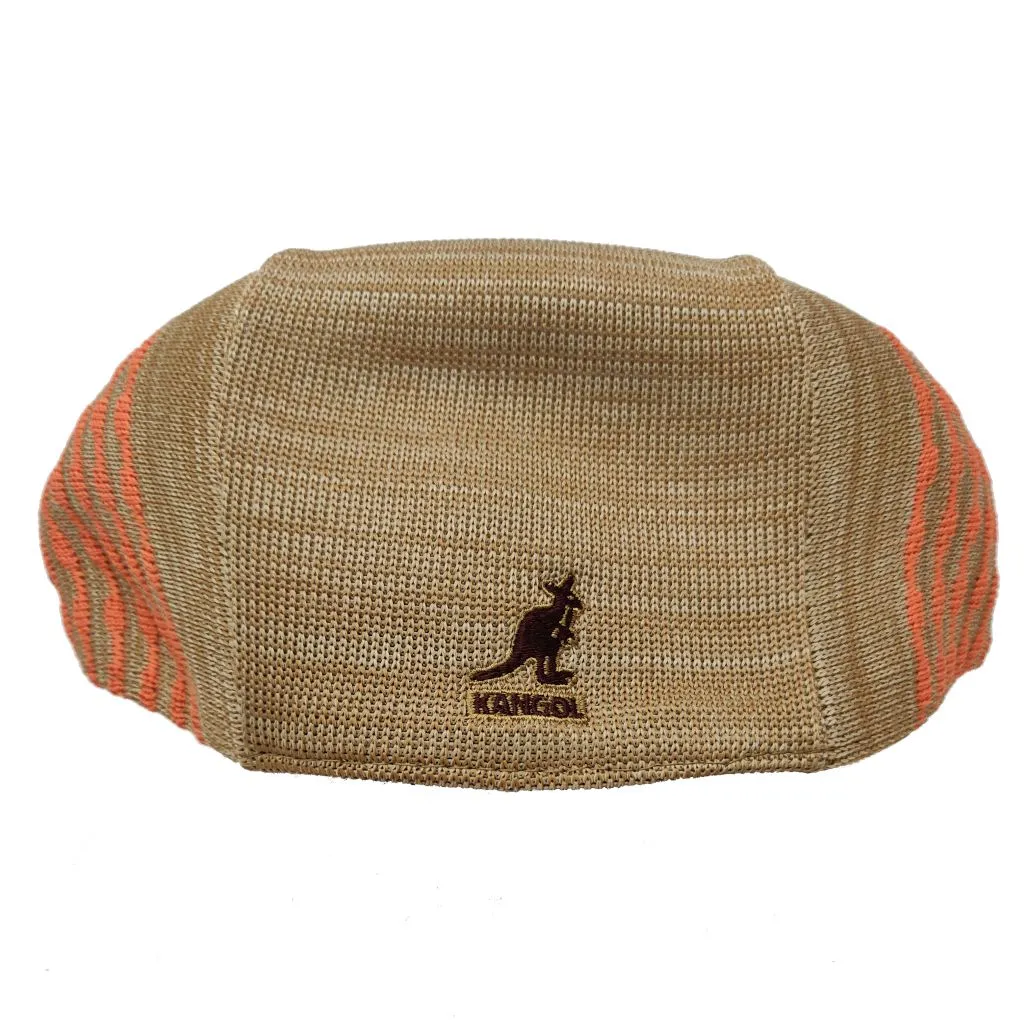 Blip Stripe 504 Striped Ivy Cap