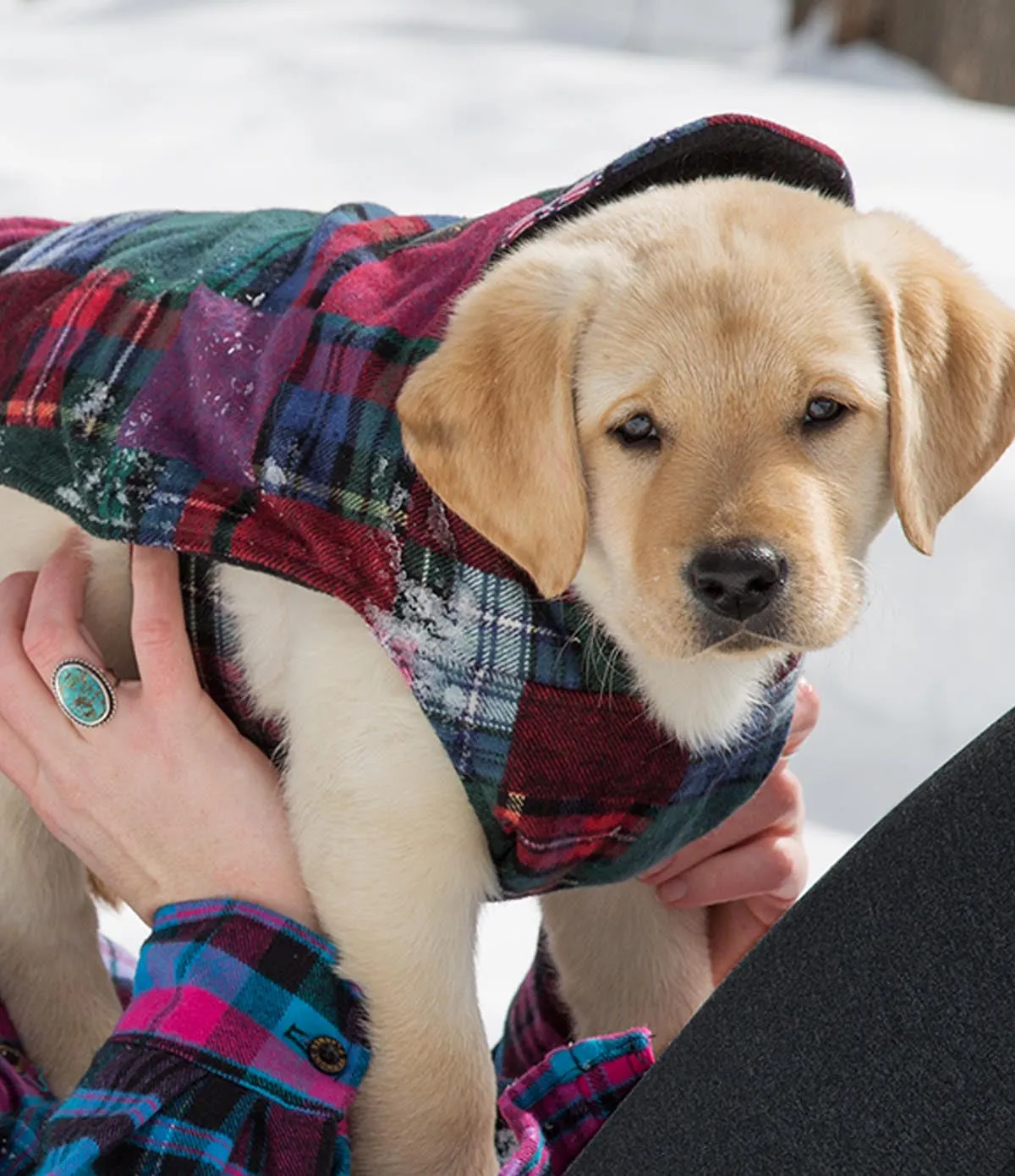 Flannel Dog Jacket - M