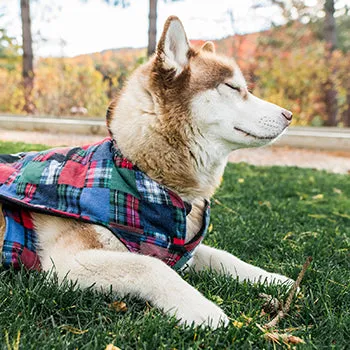 Flannel Dog Jacket - M