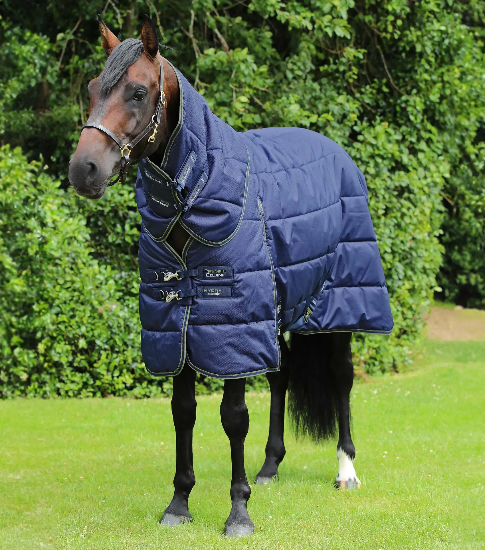 Hydra 350g Stable Rug with Neck Cover Navy