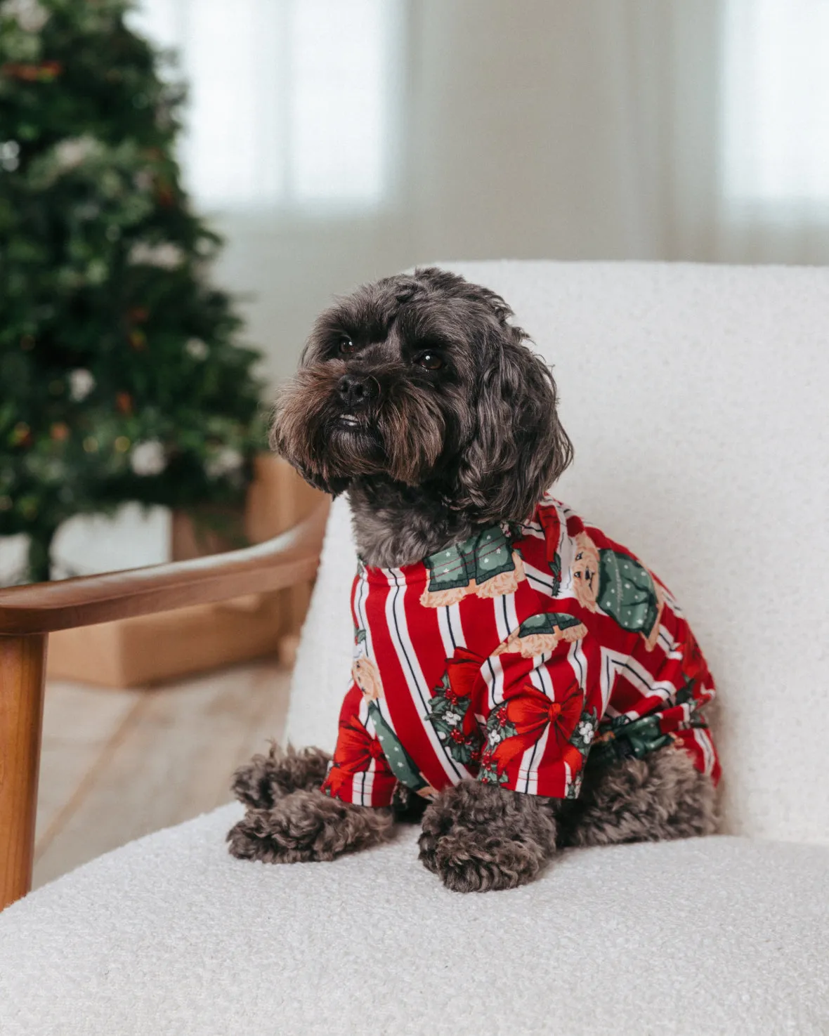 Pet Christmas Dog & Wreath Print Pyjama T-shirt